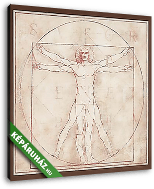 Vitruvian Man, 1490 (átdolgozás) - Fresco Version - vászonkép 3D látványterv