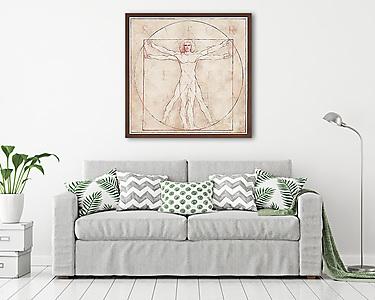 Vitruvian Man, 1490 (átdolgozás) - Fresco Version (vászonkép) - vászonkép, falikép otthonra és irodába