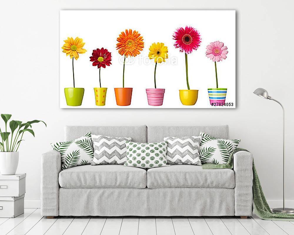 virágos természet kert botanika százszorszép virágos edény (bögre) - vászonkép, falikép otthonra és irodába