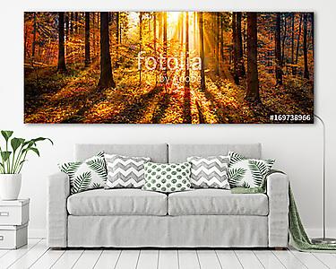 Napfényes kilátás ősszel, panorámaként (vászonkép) - vászonkép, falikép otthonra és irodába