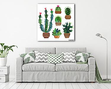 Kaktuszgyűjtemény (vászonkép) - vászonkép, falikép otthonra és irodába