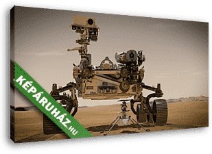 A Perseverance Mars Rover és az Ingenuity portréja (Illusztráció) - vászonkép 3D látványterv