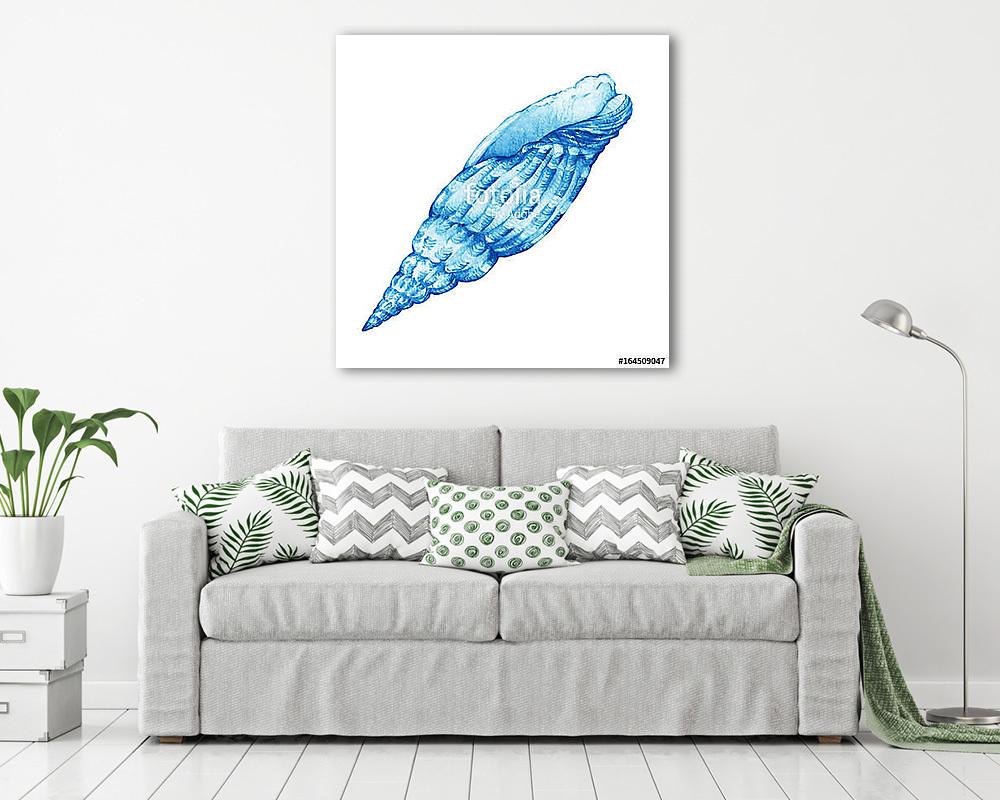 Illustrations of blue sea shells. Marine design. Hand drawn wate (vászonkép) - vászonkép, falikép otthonra és irodába