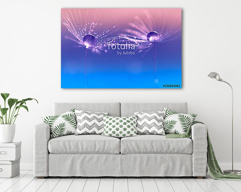 Dandelion with drops of water in a beautiful tonality. Macro of  - vászonkép, falikép vásárlás Dandelion with drops of water in a beautiful tonality. Macro of  (vászonkép) - vászonkép, falikép otthonra és irodába