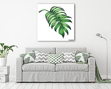 Watercolor painting fern green leaves,palm leaf isolated on whit (vászonkép) - vászonkép, falikép otthonra és irodába