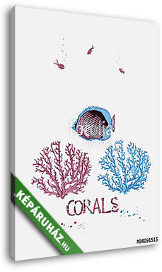 Tengeri korallok és a trópusi halak - vászonkép 3D látványterv