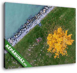Ősz a Balaton parton (Balatonszemes) - vászonkép 3D látványterv