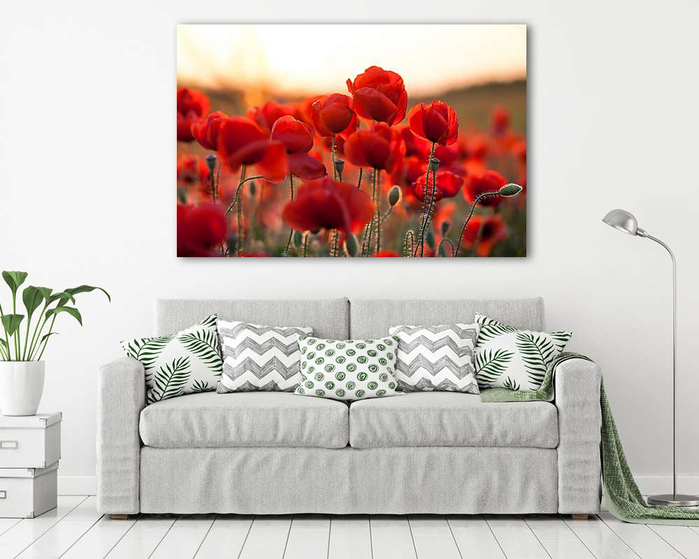 feuriger Mohn - vászonkép, falikép vásárlás feuriger Mohn (keretezett kép) - vászonkép, falikép otthonra és irodába