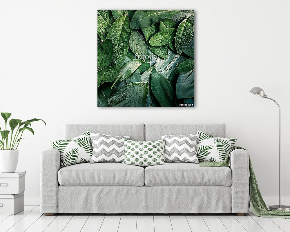 Zöld növényzet - vászonkép, falikép vásárlás Zöld növényzet (vászonkép) - vászonkép, falikép otthonra és irodába