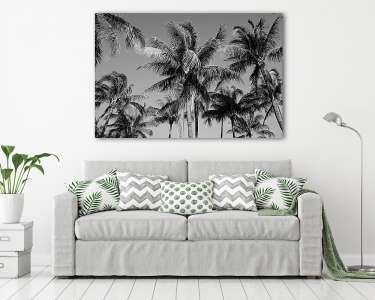 Black and White Palm Trees in South Beach, Miami (vászonkép) - vászonkép, falikép otthonra és irodába