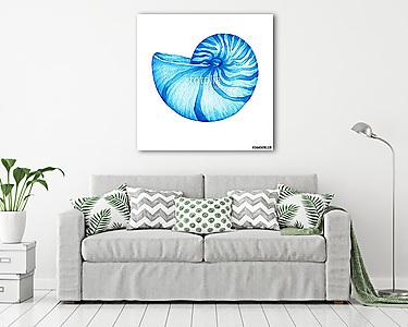 Illustrations of blue nautilus sea shell. Marine design. Hand dr (vászonkép) - vászonkép, falikép otthonra és irodába