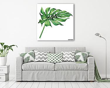 Watercolor painting tropical,palm leaf,green leaves isolated on  (vászonkép) - vászonkép, falikép otthonra és irodába