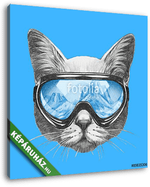 Portrait of Cat with ski goggles. Hand drawn illustration.  - vászonkép 3D látványterv
