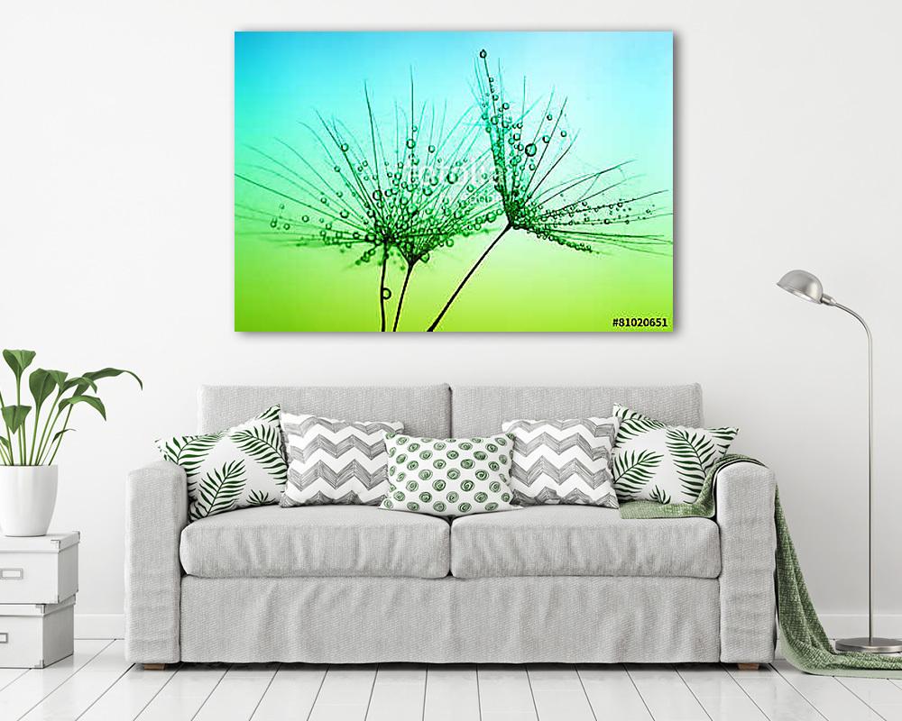 dandelion seeds (keretezett kép) - vászonkép, falikép otthonra és irodába