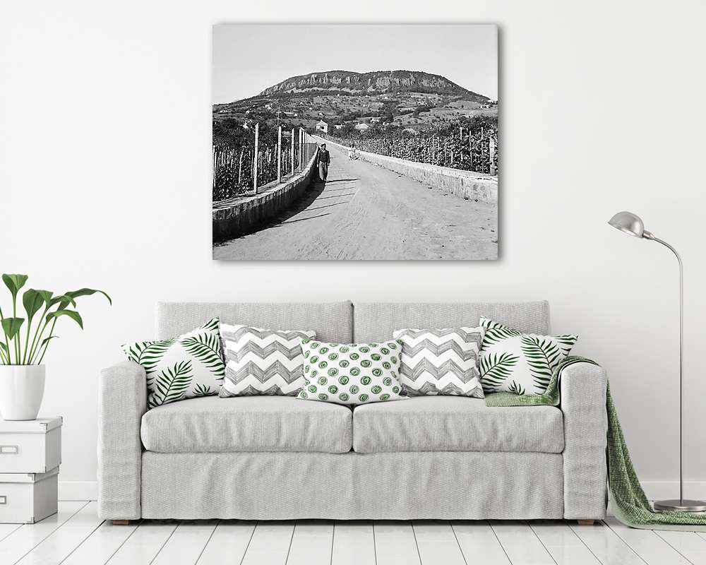 Badacsony (1942) (fotótapéta) - vászonkép, falikép otthonra és irodába