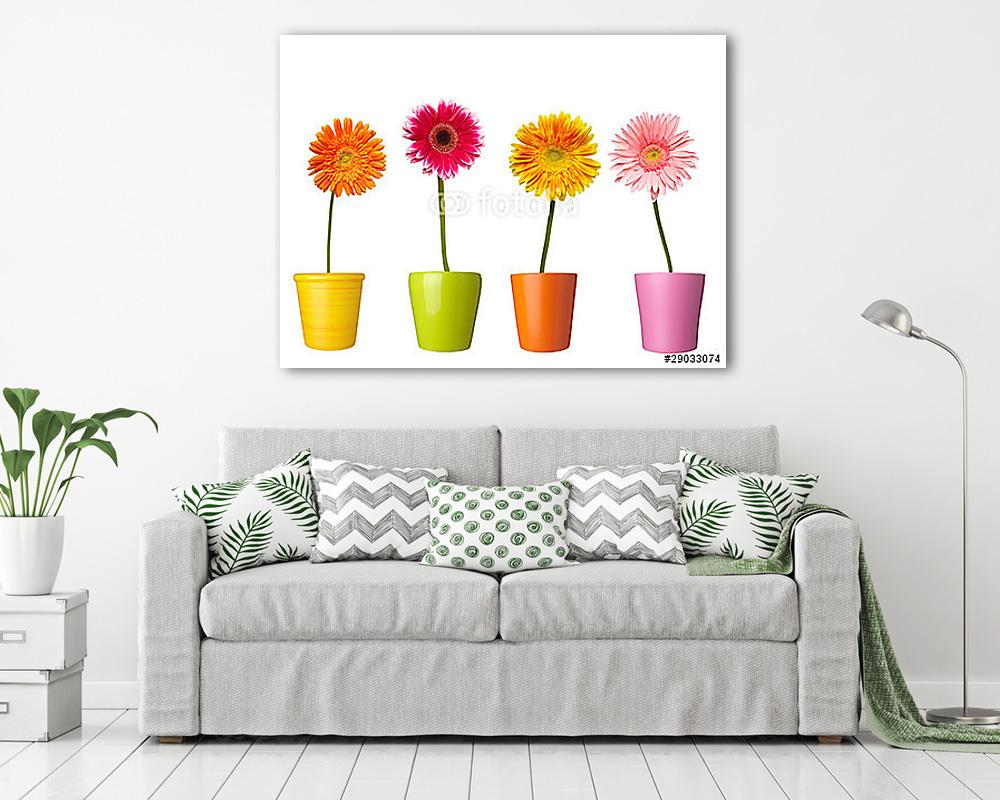 virág természet kert növényi százszorszép virágos edény (vászonkép) - vászonkép, falikép otthonra és irodába