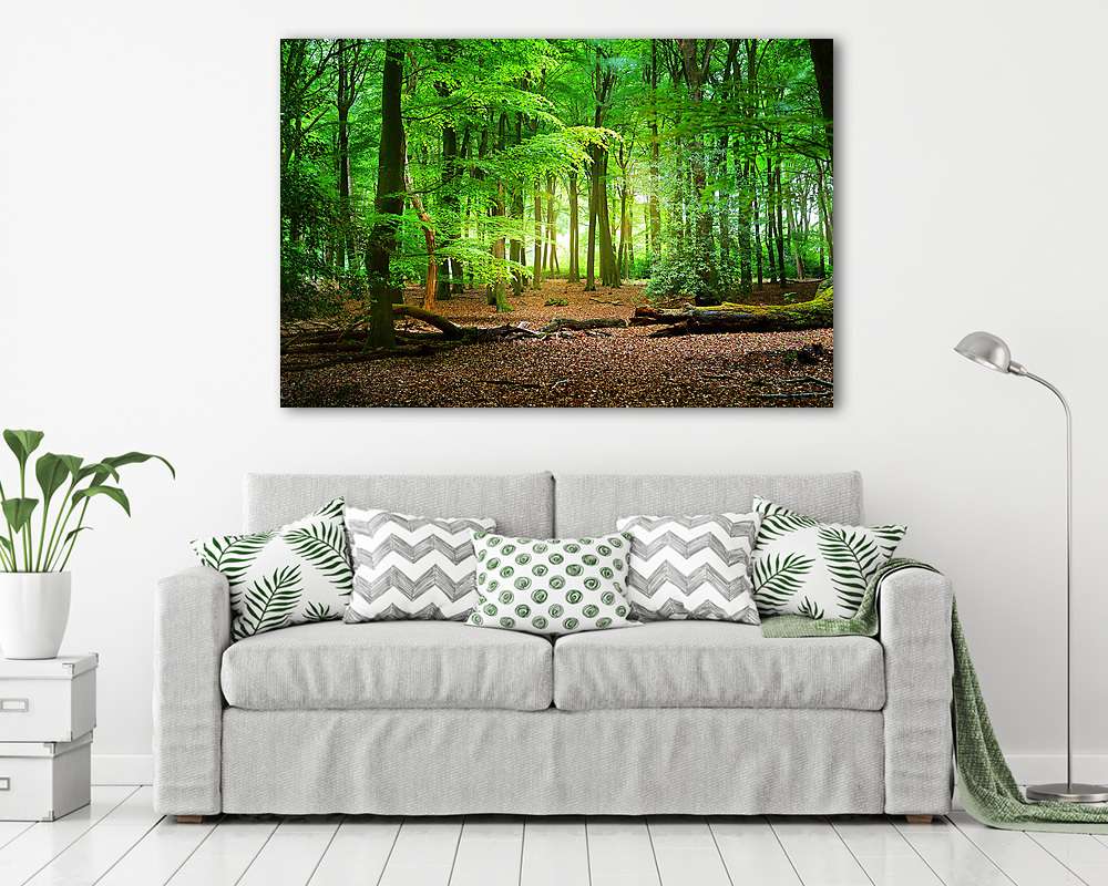 Útvonal egy tavaszi erdőben Hollandiában (keretezett kép) - vászonkép, falikép otthonra és irodába