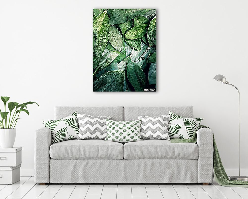 Zöld növényzet álló - vászonkép, falikép vásárlás Zöld növényzet álló (vászonkép) - vászonkép, falikép otthonra és irodába