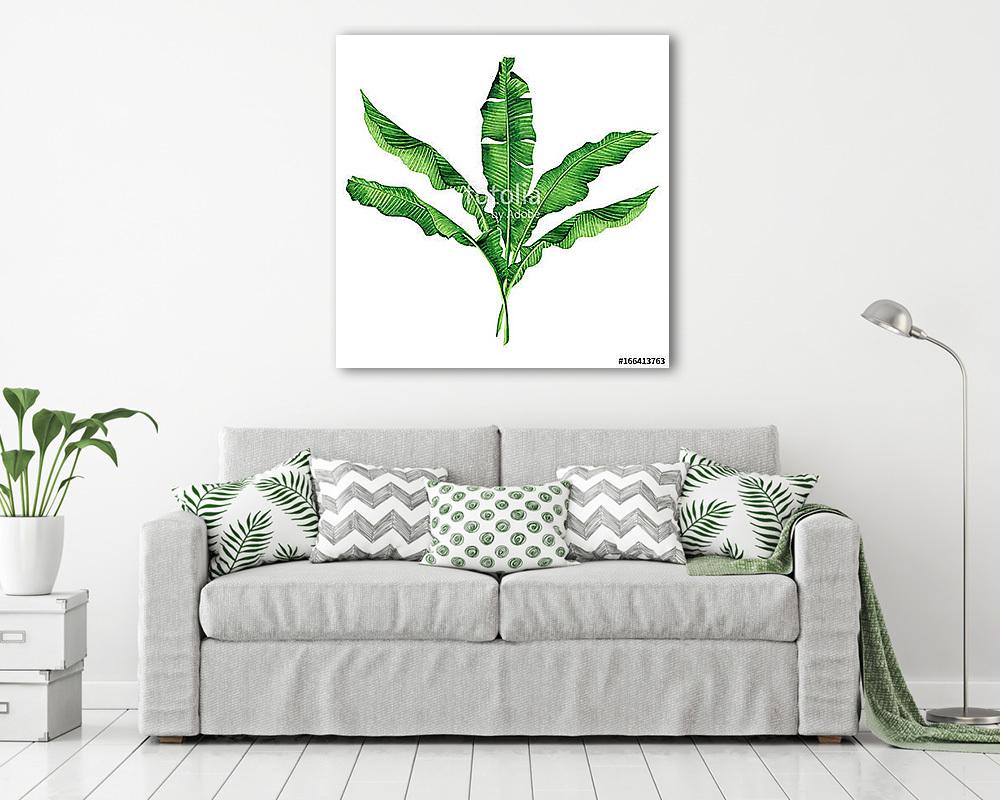 Watercolor painting green leaves isolated on white background.Wa - vászonkép, falikép vásárlás Watercolor painting green leaves isolated on white background.Wa (vászonkép) - vászonkép, falikép otthonra és irodába