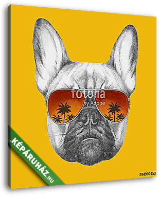 Hand drawn portrait of French Bulldog with mirror sunglasses. Ve - vászonkép 3D látványterv