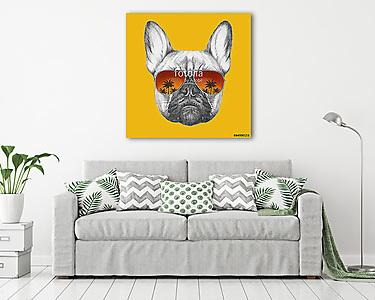 Hand drawn portrait of French Bulldog with mirror sunglasses. Ve (vászonkép) - vászonkép, falikép otthonra és irodába