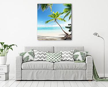 palms on Caribbean beach (vászonkép) - vászonkép, falikép otthonra és irodába