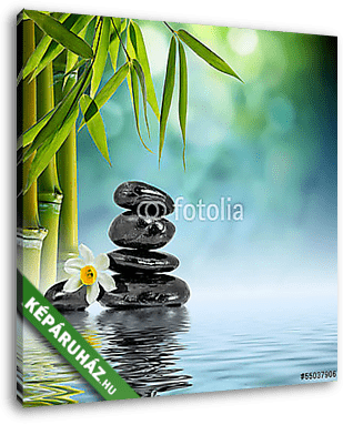 Kövek és bambusz a vízen narcissus virág - vászonkép 3D látványterv