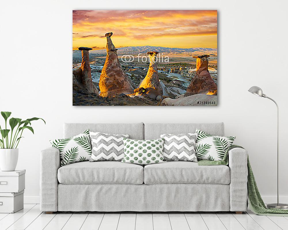 Gomba (keretezett kép) - vászonkép, falikép otthonra és irodába