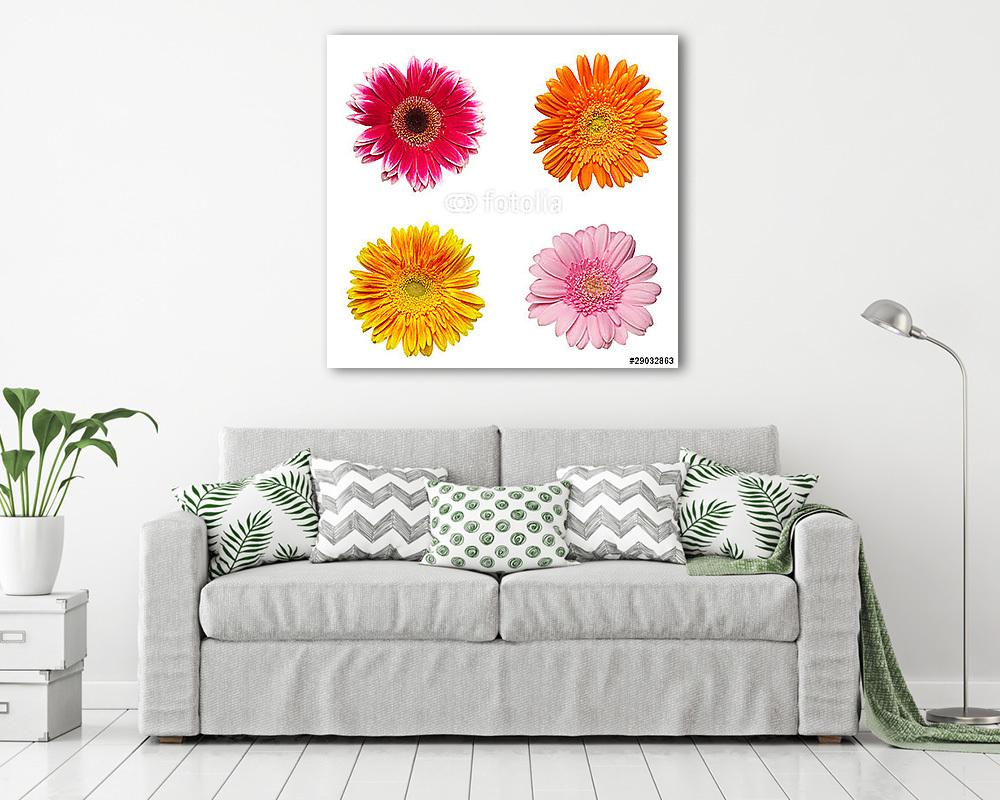 virág természet kert növényi százszorszép virágzás - vászonkép, falikép vásárlás virág természet kert növényi százszorszép virágzás (vászonkép) - vászonkép, falikép otthonra és irodába