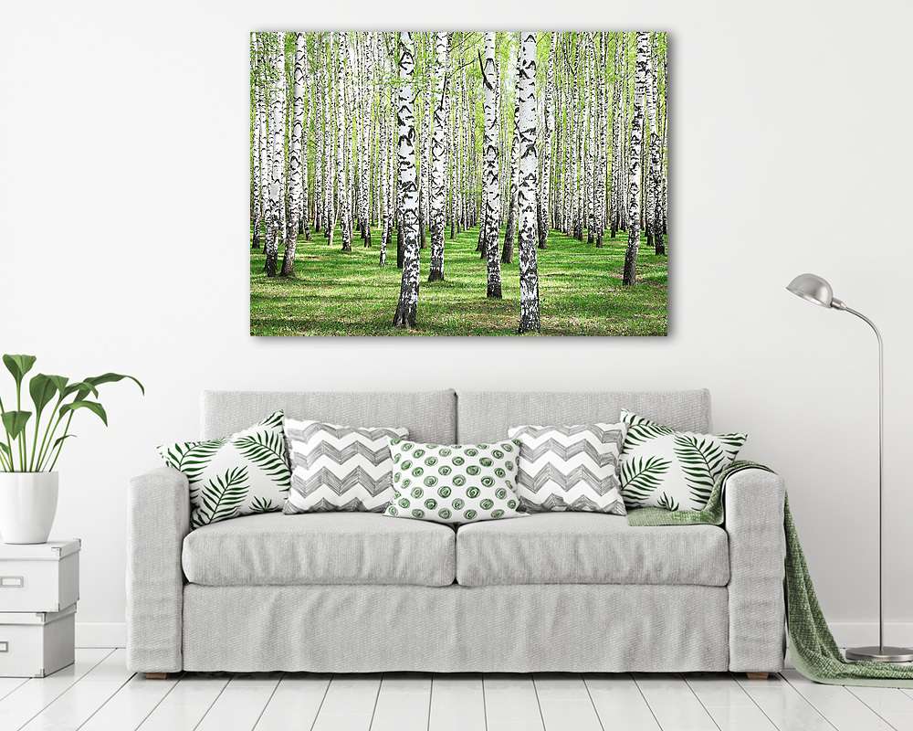 Az első tavaszi nyár a nyírfa ligetben (fotótapéta) - vászonkép, falikép otthonra és irodába