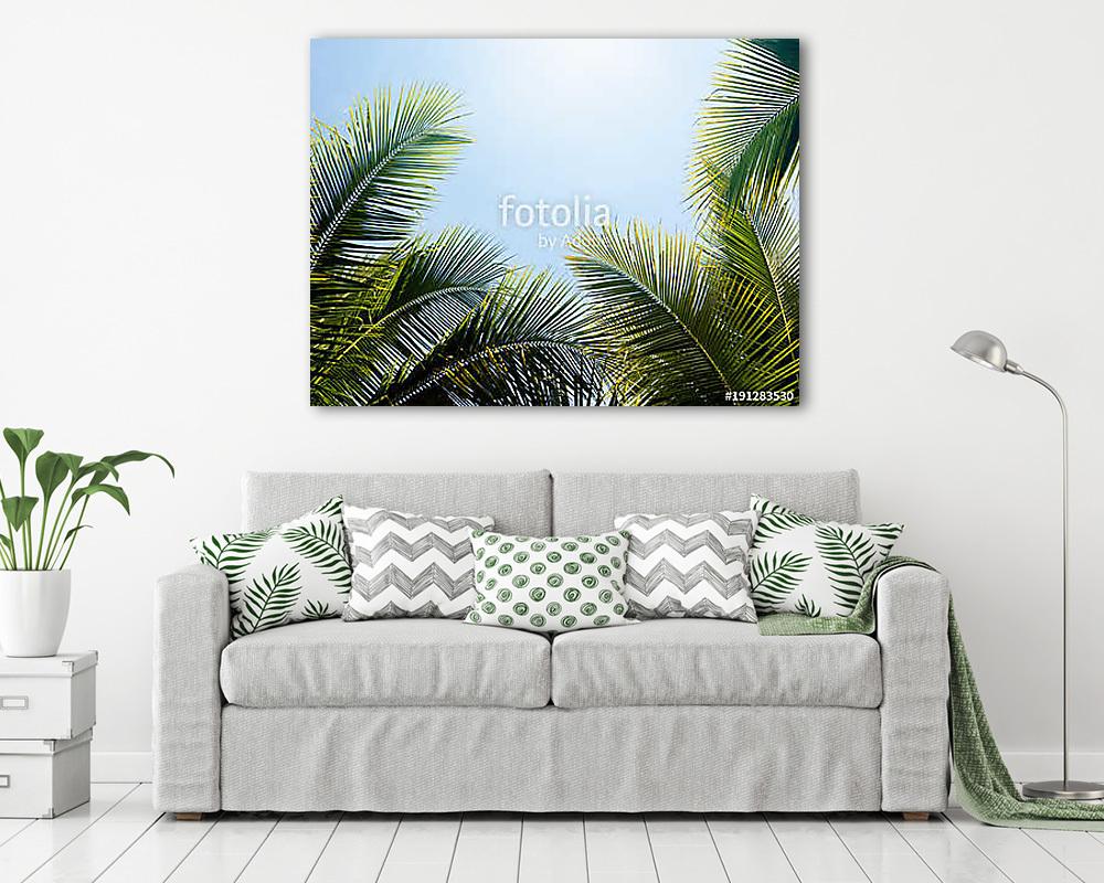 green coconut palm leaf against blue sky with bright sun light n (fotótapéta) - vászonkép, falikép otthonra és irodába