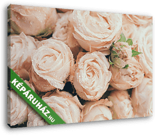 Beautiful fresh beige roses background - vászonkép 3D látványterv