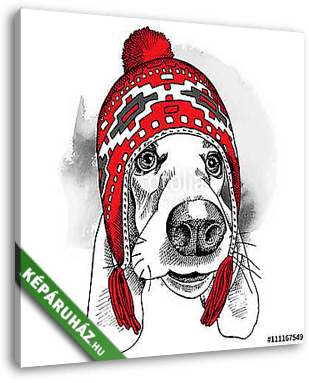 The poster with the image of the dog Basset Hound in the Chullo  - vászonkép 3D látványterv