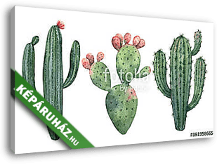 Watercolor vector set of cacti and succulent plants isolated on  - vászonkép 3D látványterv