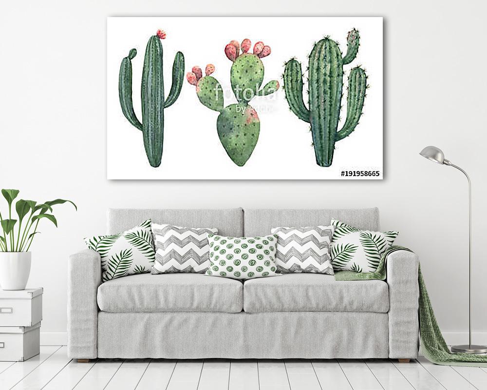 Watercolor vector set of cacti and succulent plants isolated on  (vászonkép) - vászonkép, falikép otthonra és irodába