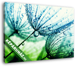  dandelion flower background - vászonkép 3D látványterv