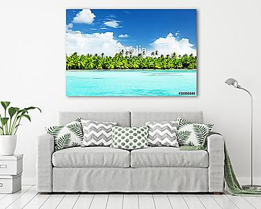 palms and sea (vászonkép) - vászonkép, falikép otthonra és irodába
