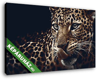 Leopárd portré  - vászonkép 3D látványterv