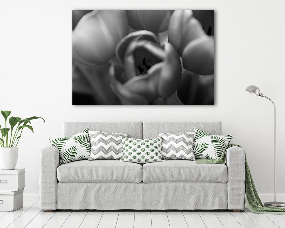 Tulipán fekete-fehéren (vászonkép) - vászonkép, falikép otthonra és irodába