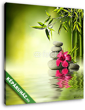 Stones, piros hibiszkusz és bambusz a vízen - vászonkép 3D látványterv