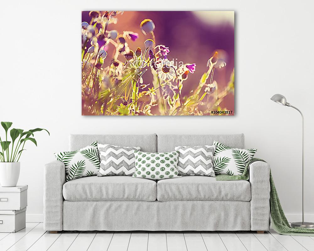 Napos rét (vászonkép) - vászonkép, falikép otthonra és irodába