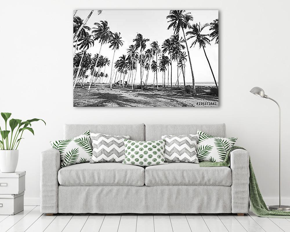 Coconut tree view in black and white with vintage effect. (fotótapéta) - vászonkép, falikép otthonra és irodába