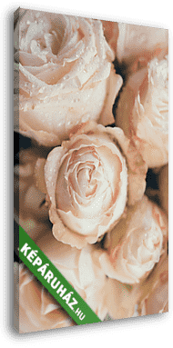 Beautiful fresh beige roses background - vászonkép 3D látványterv