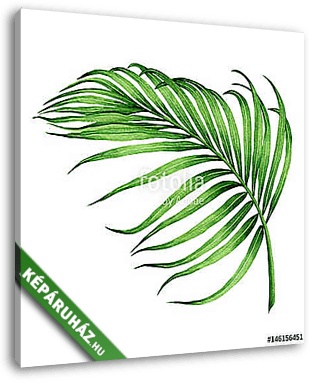 Watercolor painting coconut, palm leaf,green leave isolated on w - vászonkép 3D látványterv