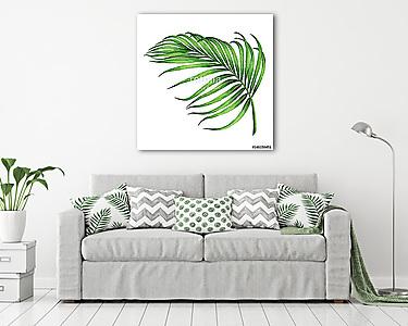 Watercolor painting coconut, palm leaf,green leave isolated on w (vászonkép) - vászonkép, falikép otthonra és irodába