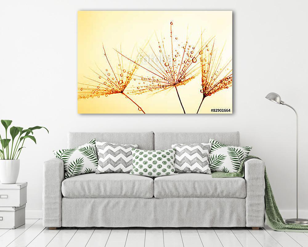 Dandelion seed - vászonkép, falikép vásárlás Dandelion seed (bögre) - vászonkép, falikép otthonra és irodába