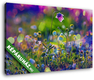 Napos rét - vászonkép 3D látványterv Napos rét - vászonkép 3D látványterv