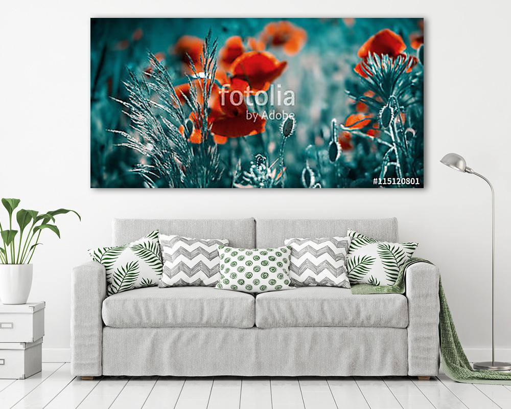 Csodálatos mákmezõ. Nyári virágok. - vászonkép, falikép vásárlás Csodálatos mákmezõ. Nyári virágok. (vászonkép) - vászonkép, falikép otthonra és irodába