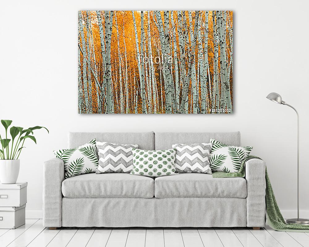 Őszi nyírfa-mintázat. (vászonkép) - vászonkép, falikép otthonra és irodába