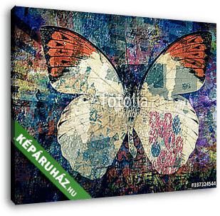 grunge Butterfly background  texture - vászonkép 3D látványterv